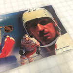 Vintage - Wayne Gretzky's 3D Hockey Arcade Marquee - Escape Pod Online