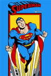 Superman Arcade Poster - Escape Pod Online