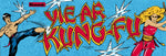 Yie Ar Kung-Fu Arcade Marquee - Escape Pod Online
