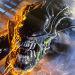 Aliens Side Art Decals - Escape Pod Online