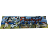 Vintage - FlashGal Arcade Marquee